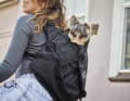 Quasi die Ur-Form der Chrome-Taschen: Messenger Bag, hier mit Hund, statt Post.