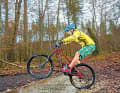 Das Quietschen bei nassen Verhältnissen oder bei Regen ist mehr oder weniger normal für MTB-Scheibenbremsen.