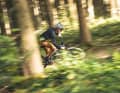 Eines dieser Topseller-Testbikes wird wohl jeder bereits im heimischen Wald erspäht haben.