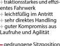 Das Fahrverhalten des Liteville 301 CL MK1 LTD.