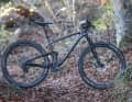 Dauertest Giant Anthem Advanced Pro 2