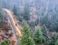 Einmal mit den Hexen auf dem  berühmten Brocken tanzen – schwierig im Oktober. Doch in Sachen  Mystik lässt sich der Harz trotzdem nicht  lange bitten. Auf Nebel-Tour im  Top-Revier des Nordens.