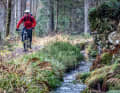 Fichten-Mikado auf den Trails – der Bikespot des Nordens  scheint verhext.