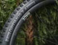 E-Thirteen Optmus Race MTB-Laufräder, hier mit Felge aus Carbon - es gibt sie aber auch aus Aluminium.