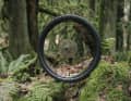 Hinterrad an Farn... je nach Ausführung: 870 Euro (Carbon) oder Alu 410 Euro.