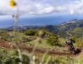 Oben besticht der Buxo-Trail auf Madeira mit seiner Premium-Aussicht.