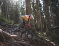 Bergab liegt das Enduro stabil auf dem Trail .