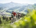 Im Test: Sechs All Mountains und ein Trailbike in der Preisklasse um 5000 Euro.