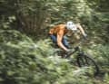 Very British: Starlings Interpretation eines Downcountry-Bikes besitzt natürlich einen Stahlrahmen. Eine verstellbare Dämpferaufnahme erlaubt es, den Murmur-Rahmen in ein Enduro oder ein Trailbike zu verwandeln.