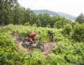 Der minimale Aufpreis gegenüber der Konkurrenz wurde von Marin bestens investiert: Trotz Schwächen bergauf verhelfen das top Fahrwerk, das gute Handling sowie die sinnige  Ausstattung dem Bike zum Testsieg.