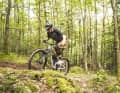 Mit 15,5 Kilo in Rahmengröße L (ohne Pedale) stellt Marin das mit Abstand leichteste Bike in diesem Vergleich. Anstiege erklimmt man auf dem Rift Zone 2 dennoch schlechter als auf dem fast zwei Kilo schwereren Merida. Das lebendige Heck und die zäh rollenden Reifen halten den Vorwärtsdrang in Grenzen.