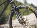 Sowohl das Rahmenset als auch das Komplett-Bike sind ausschließlich mit Federelementen von DT-Swiss erhältlich. Die einfache und intuitive Bedienung passt zum Sorglos-Charakter des Mini Murmur.