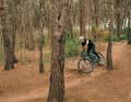 Cannondale Team Rider Ella Conolly hat das Habit schon auf den Trails von Barcelona fliegen lassen. Das Video dazu ist unten verlinkt.