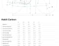 Die Geometrie-Tabelle des Carbon-Habit.