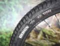 Ausgerechnet am Hinterrad steckt ein Reifen mit dünner und pannenanfälliger Exo-Karkasse. Auch das zahme Profil des Maxxis Rekon ist im Gelände schnell überfordert.