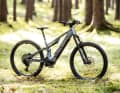Canyon Neuron:On AL9 // Bosch Perf. CX //  800 Wh // 150/145 mm // 29 Zoll // 24,95 kg // 5499 Euro