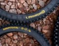 Continental bringt diverse neue Varianten für die beliebte und robuste Gravity-Reihe.