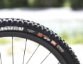 Perfekte Reifenwahl schon ab Werk: Vorne rollt das Conway auf Maxxis' Assegai Exo+ in der supergriffigen MaxxGrip-Mischung.