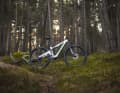 Mit dem E-Cygnus setzt Forestal erstmals auf einen Bosch-Motor und wenig Federweg. Das große Display macht das Rad besonders interessant.
