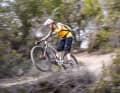 Crossworx Lite 290 - spannendes All Mountain mit quirligem Fahrwerk.