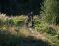 Mountainbiken ist der perfekte Fun-Sport für Kids. Schön, dass es heute so viele gute Kinder-Bikes gibt.