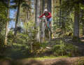 Vorzeige Trails im Breisgau: Der Baden to the Bone ist der anspruchsvollste Trail in Freiburg.
