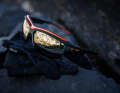 Evil Eye hat die neue Fahrradbrille Pathline Pro präsentiert.