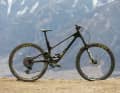 Das Forbidden Druid: 14,64 kg / 150/130 mm / 29" / 10.999 Euro / Carbon