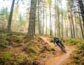 Im Community-Gedanken liegt der Kern des Erfolges der schottischen Mountainbike-Entwicklung. Förderung gibt es von unterschiedlichen Seiten.