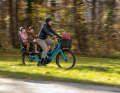Vielseitiges Lastenrad im Trekkingbike-Format mit 26-Zoll-Laufrädern: das Cube Hybrid Longtail