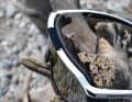 Eine Schweißbremse dichtet die Brille nach oben ab - auch gegen Sonne und Dreck.