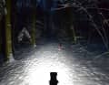 Vollgas! Die 2000 Lumen leuchten den Weg rundherum aus, bei Schnee blendet es fast direkt vorm Lenker.