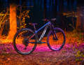 Das Cube Elite C:62 Rookie sieht schon im Stand schnell aus.