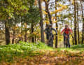 Püttlach, Ailsbach, Wiesent und Pegnitz bewässern die Region. Die Trails versuchen ihren kurvigen Bachläufen zu folgen, klettern zwischendrin aber auch unvermittelt steil zu den Aussichtsgipfeln samt Burg hinauf.