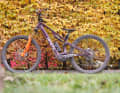 Robust aber schwer – WTB Verdict 1.350 g, Judge 1.295 g. Getestet haben wir die Reifenkombi an einem Whyte eLyte EVO RS E-AllMountain. Preis: jeweils 69,95 Euro.