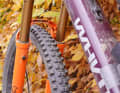 Vergleichsweise schwer, dafür haltbar – ideal für Park-Shredder.