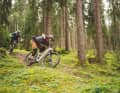 Bergab lässt das Mondraker mit flubberigem Fahrwerk und souveräner Fahrposition fast schon Enduro-Vibes aufkommen.