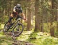 Gemacht zum Gas geben: Aktiven Fahrern, die gern spielen und springen, kommt das Canyon besonders entgegen.