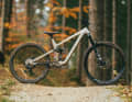 Haro Greer Alloy LTD 2 / 17,6 kg1 / 170/160 mm / 29/ 27,5" / 4299 Euro / Alu