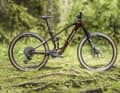 Das E-Maverick AM 9.4.3. für 9999 Euro ist das Topmodell der Reihe.