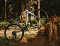 Das neue E-Gravelbike von Van Rysel - das E-GRVL AF - will überall rauf...