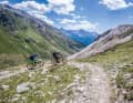 Livigno - das Naturtalent im Hauptkamm