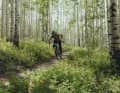 Die M6 Laufräder sollen sich vor allem auf schnellen Trails wohlfühlen
