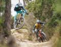 Im Test lassen liefern sich Fox Live Valve Neo und Rockshox Flight Attendant ein Duell Kopf an Kopf.