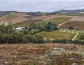 Rund um Stellenbosch sammelt die Strecke 88 Kilometer und 2400 Höhenmeter.