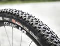 Der Maxxis Dissector am Vorderrad sorgt für gute Führungsqualitäten, während der Rekon hinten ordentlich rollt.