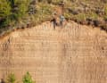 Anlauf: null. Höhe: crazy. Landung: viel zu weich. Brage Vestavik springt den berüchtigten Jah-Drop in Kamloops, British Columbia im Mai 2023.