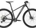 Canyon Pathlite 7