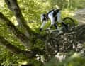 Rein in den Trail. Tester Laurin kippt das Gambler über die Wurzelkante...