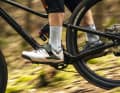 Mit Gravity Enduro und Gravity Flat heißen die zwei Modelllinien von Shimano. Im Bild: der GE700.